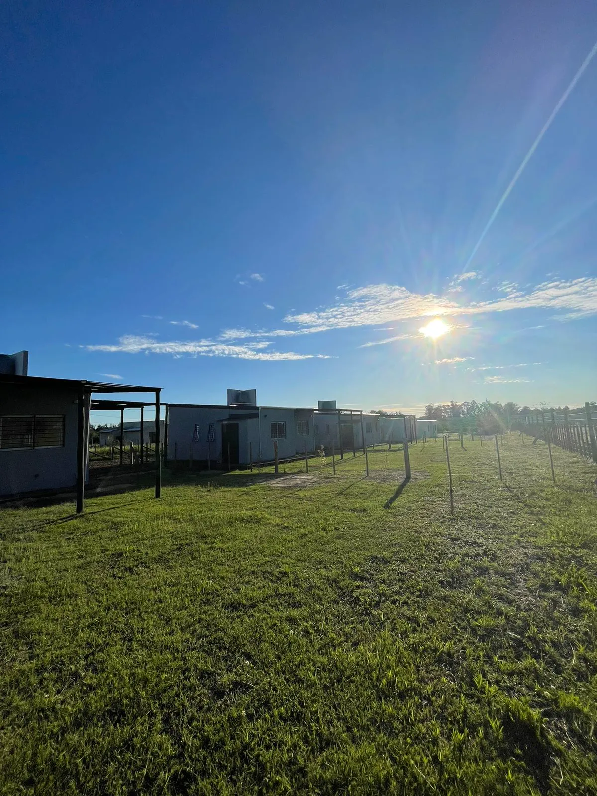 Imagen de WhatsApp 2024-11-05 a las 20.18.44_b691b552