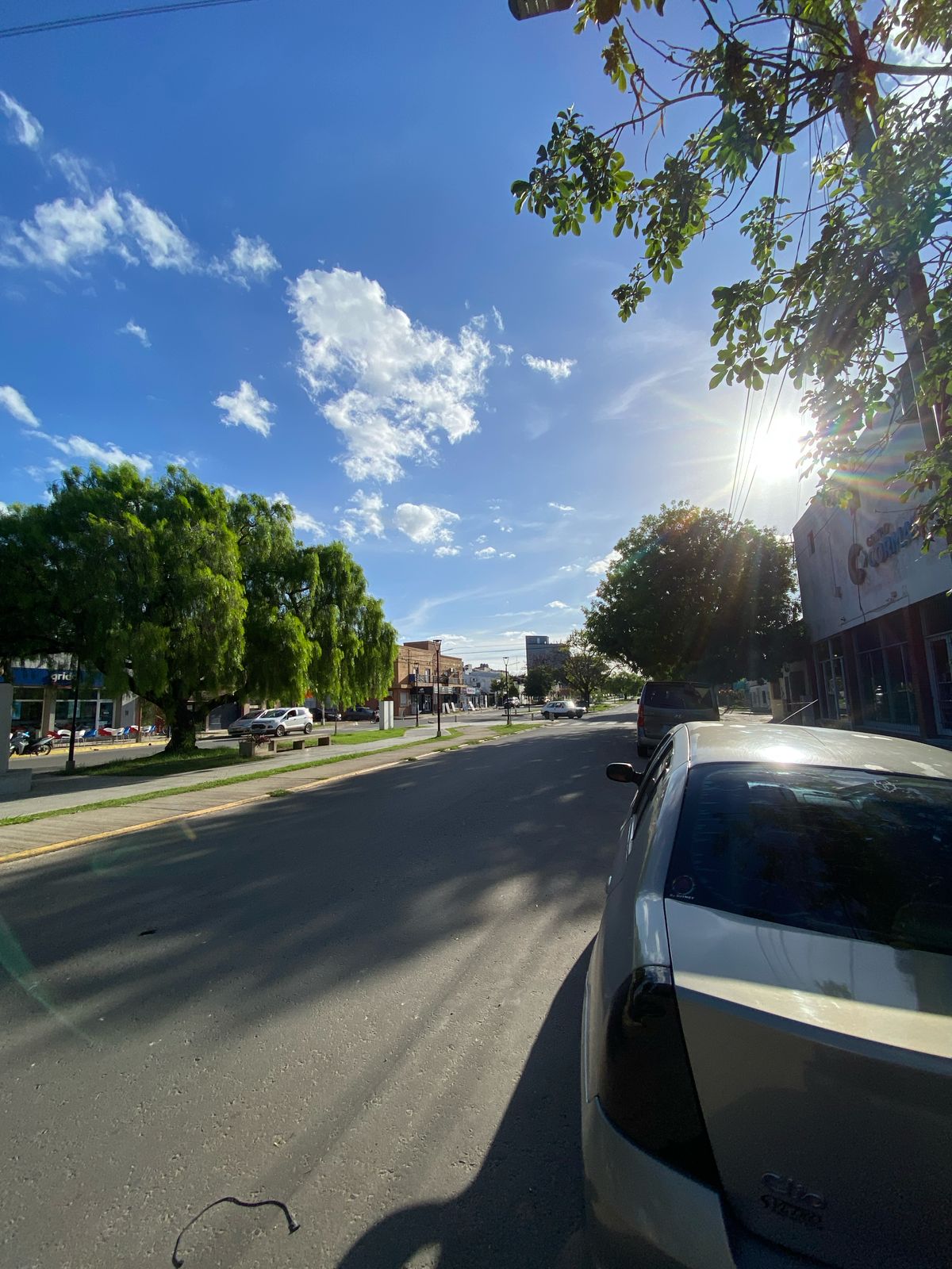 IMG-20250220-WA0042