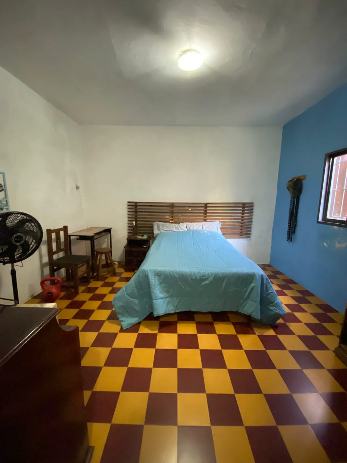 WhatsApp Image 2025-05-15 at 08.48.04