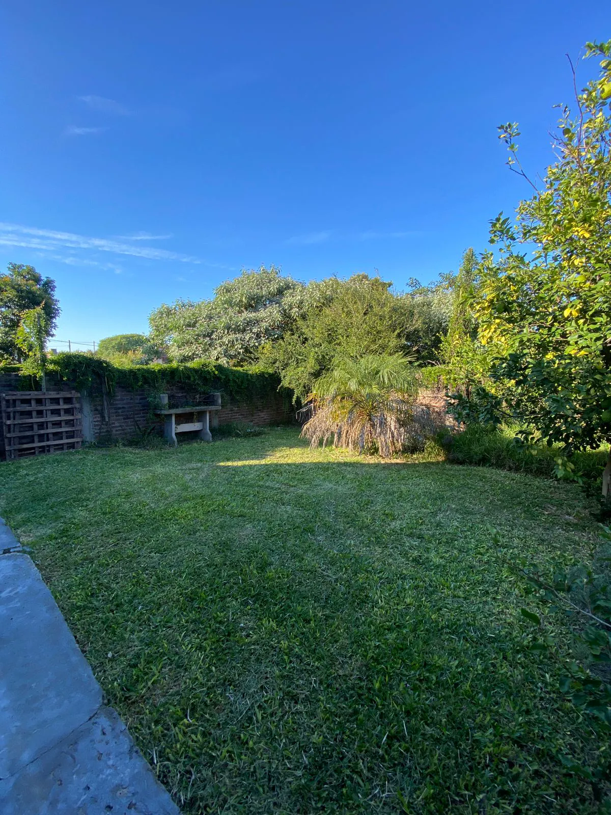 WhatsApp Image 2025-05-15 at 08.48.15