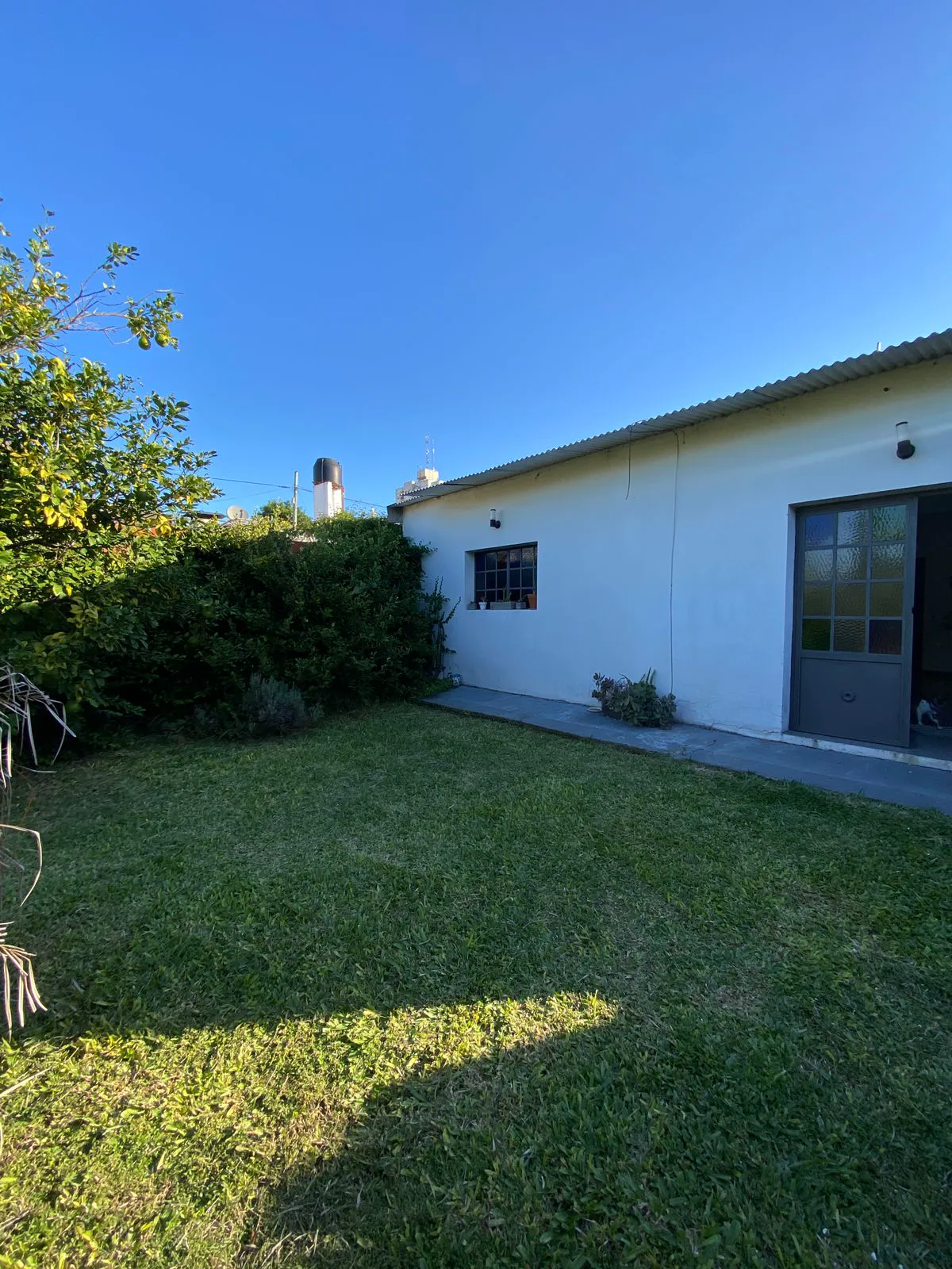 WhatsApp Image 2025-05-15 at 08.48.16