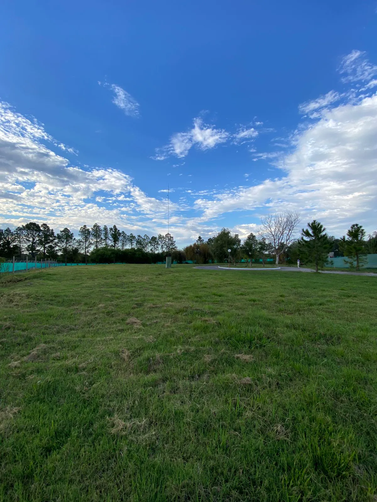 WhatsApp Image 2025-06-19 at 10.05.29 (1)