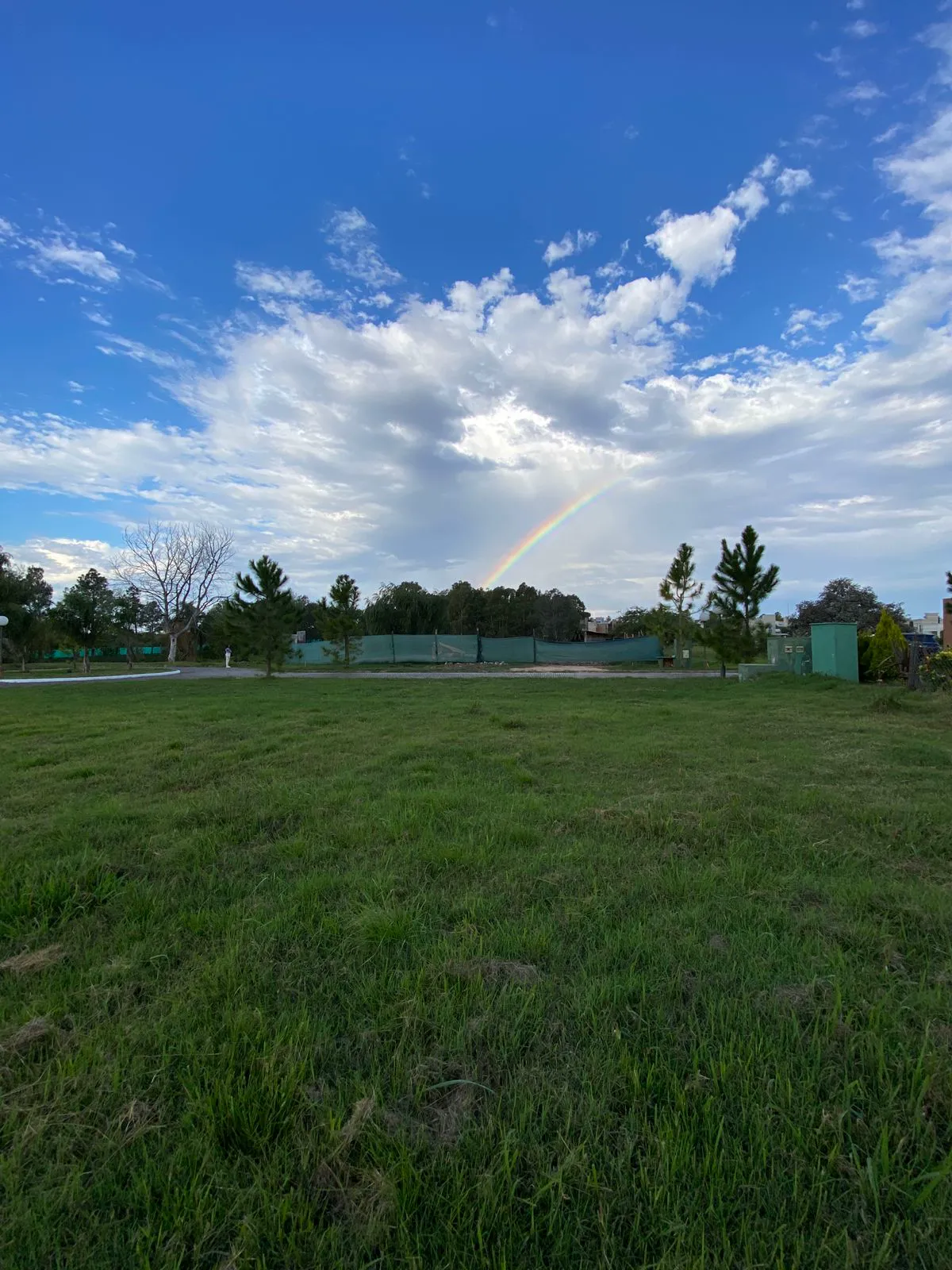 WhatsApp Image 2025-06-19 at 10.05.29