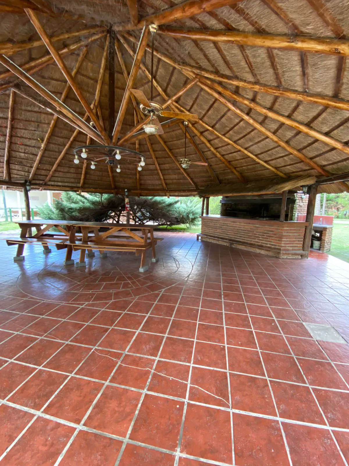 WhatsApp Image 2025-06-19 at 10.05.40