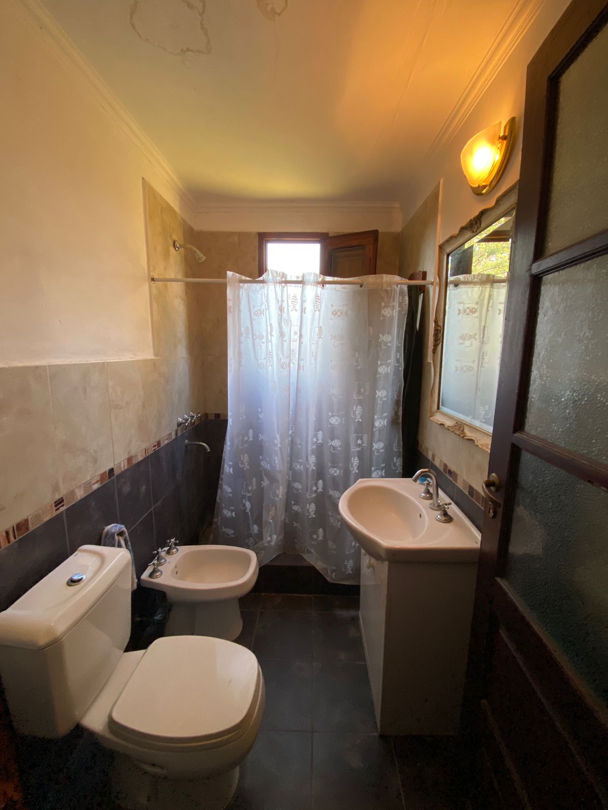 WhatsApp Image 2025-07-10 at 17.20.13 (3)