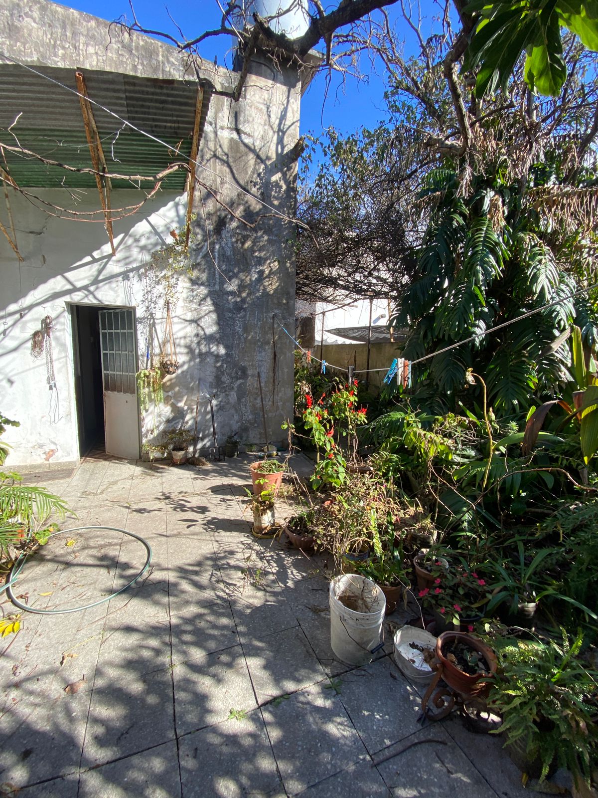 WhatsApp Image 2025-07-28 at 16.16.45 (2)