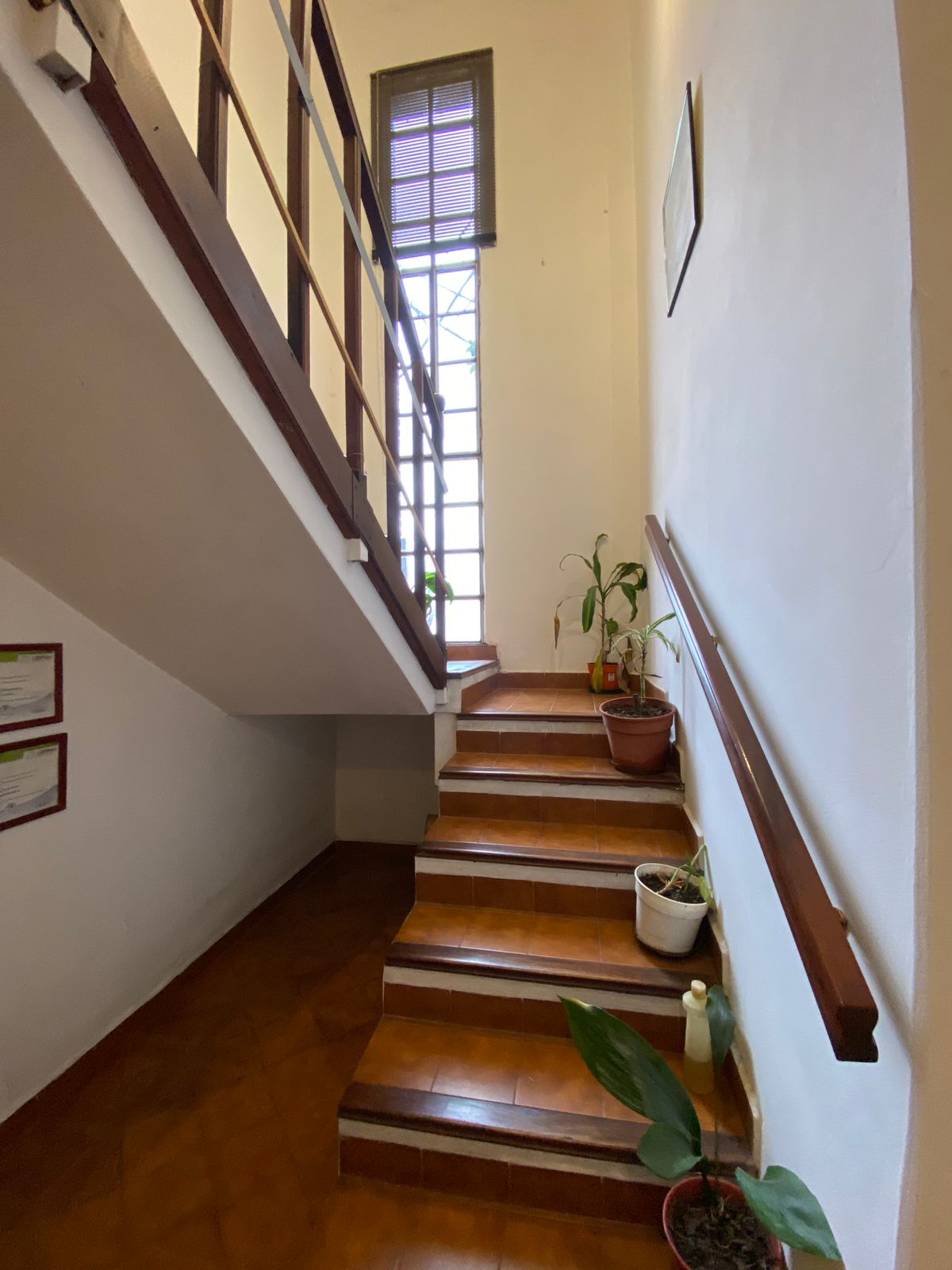 WhatsApp Image 2025-08-04 at 11.35.55 (2)