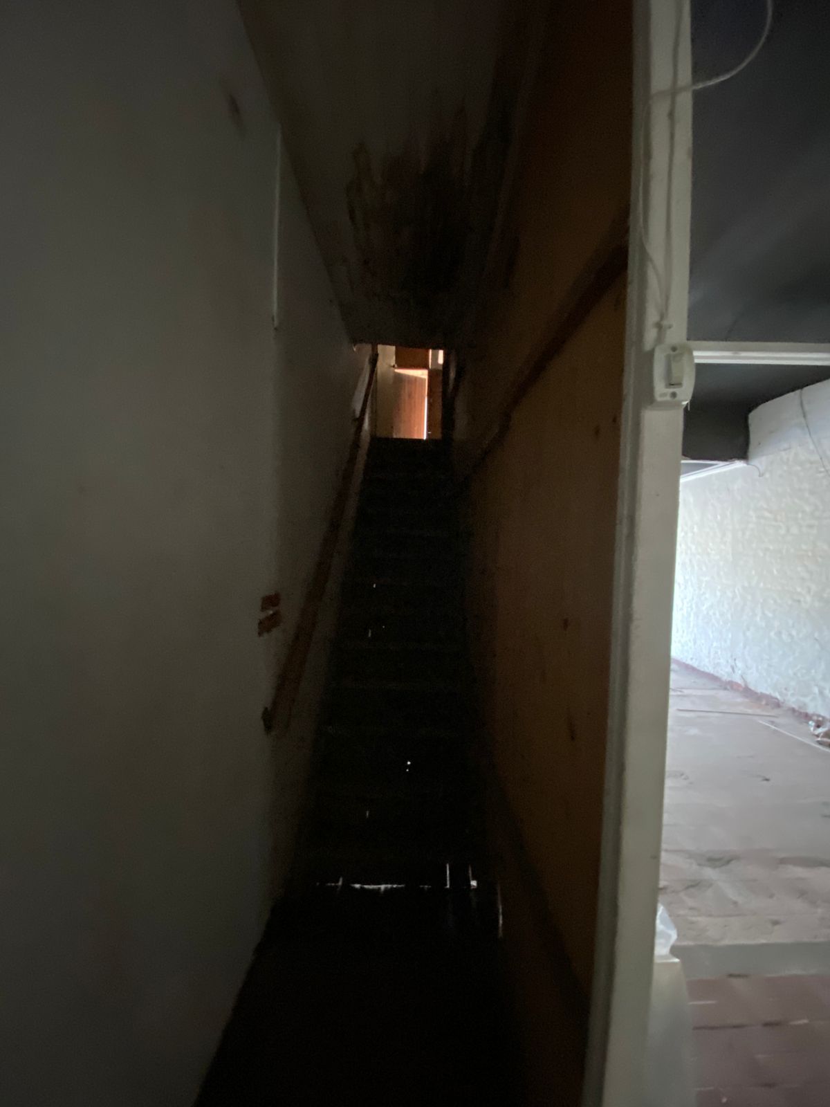 WhatsApp Image 2025-08-05 at 09.06.39