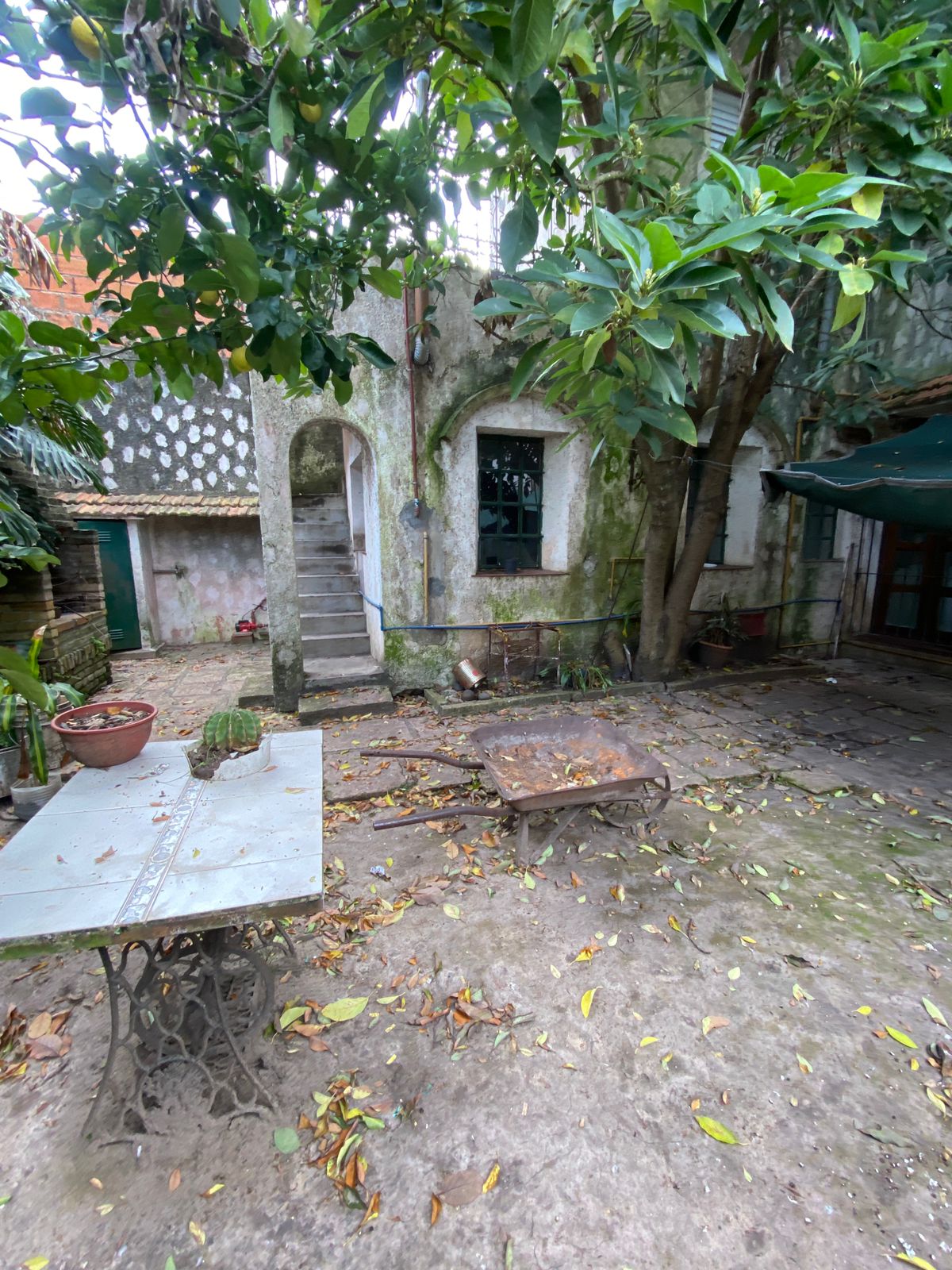 WhatsApp Image 2025-08-18 at 11.07.38 (1)