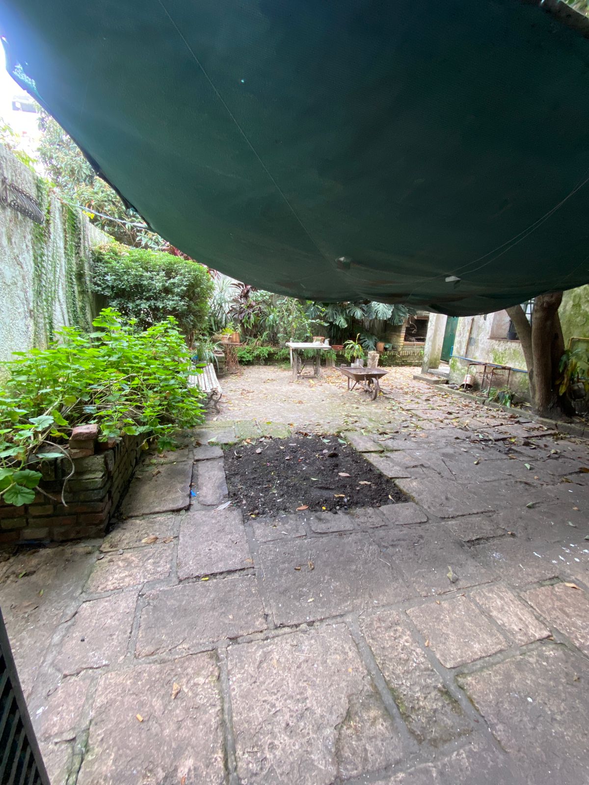 WhatsApp Image 2025-08-18 at 11.07.38