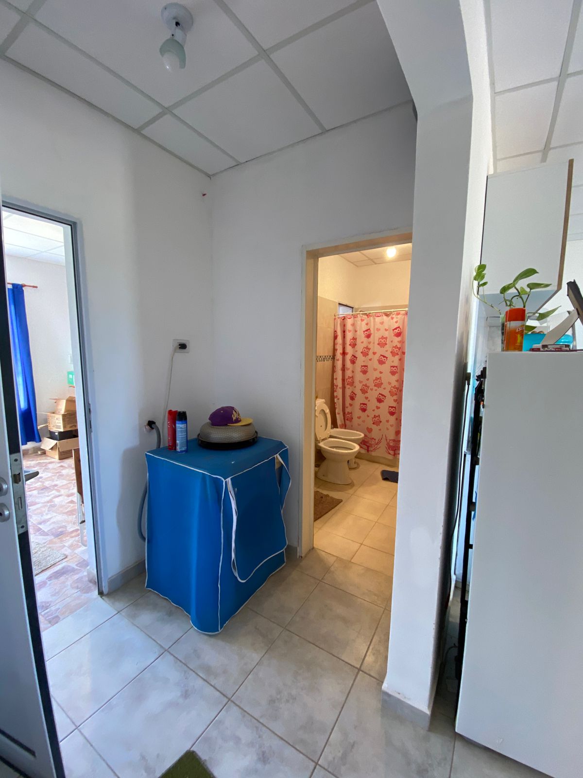 WhatsApp Image 2025-09-04 at 14.42.26 (3)