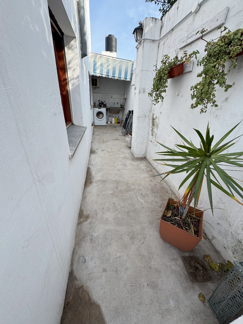 WhatsApp Image 2025-04-10 at 11.07.12 AM