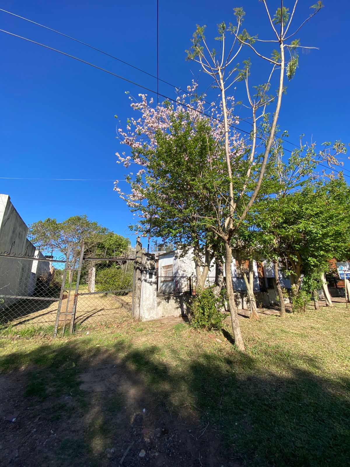 WhatsApp Image 2025-10-13 at 16.58.51 (2)