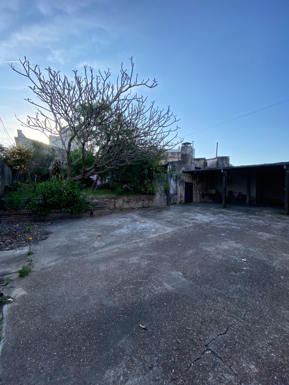 WhatsApp Image 2025-10-23 at 18.32.45