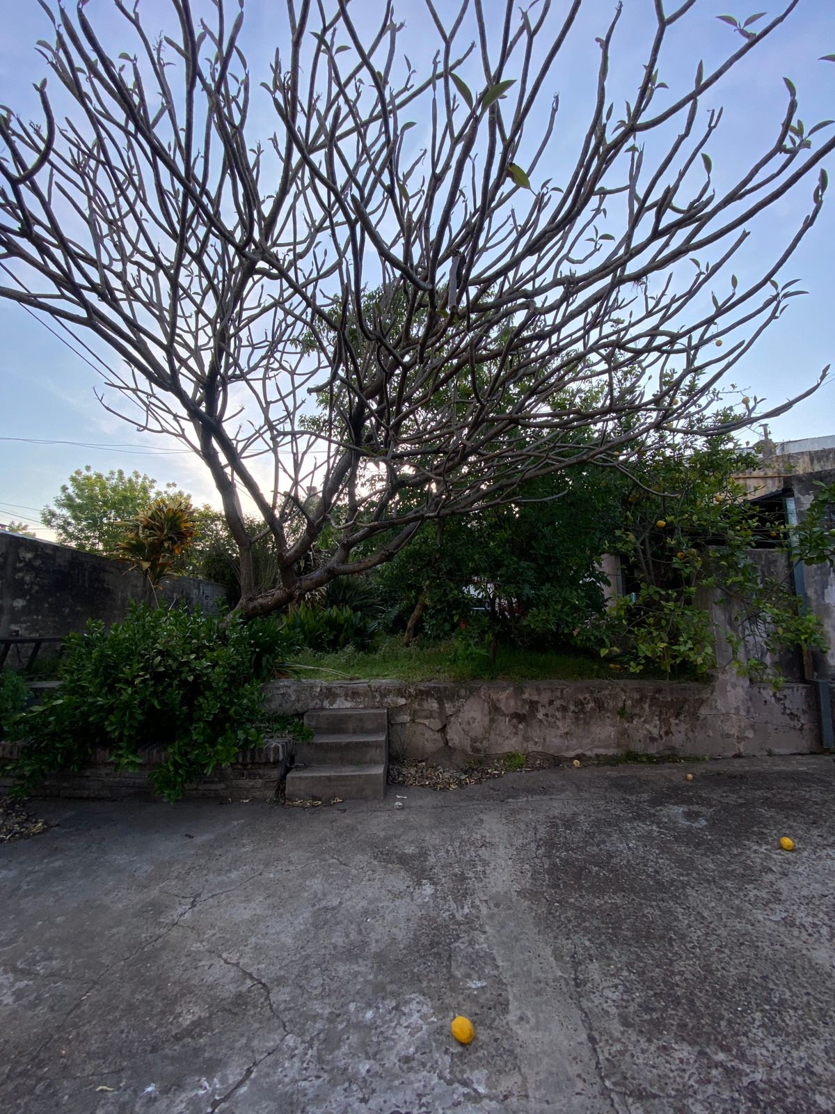 WhatsApp Image 2025-10-23 at 18.32.48 (2)