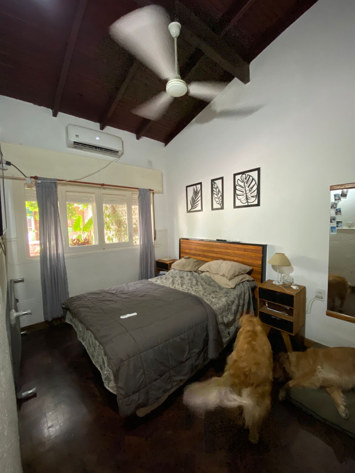 WhatsApp Image 2025-11-27 at 14.57.18 (2)