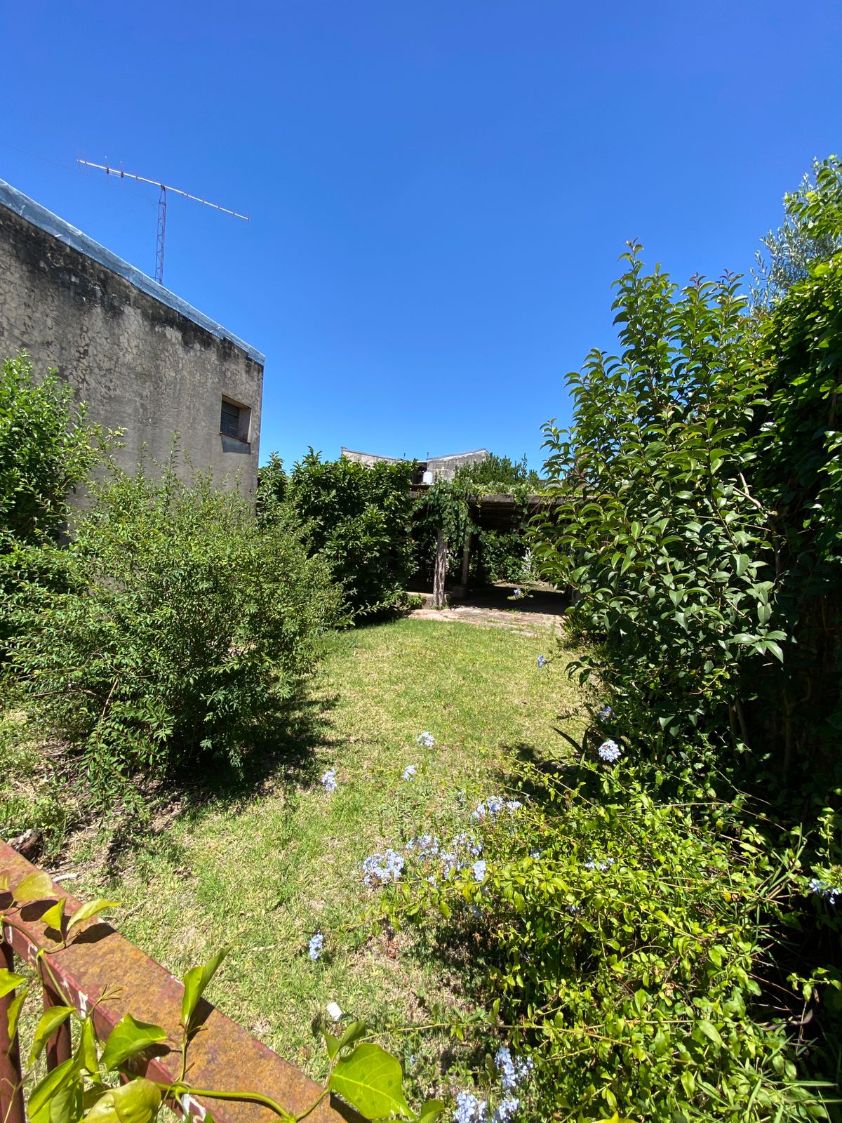 WhatsApp Image 2025-12-03 at 16.10.46 (1)