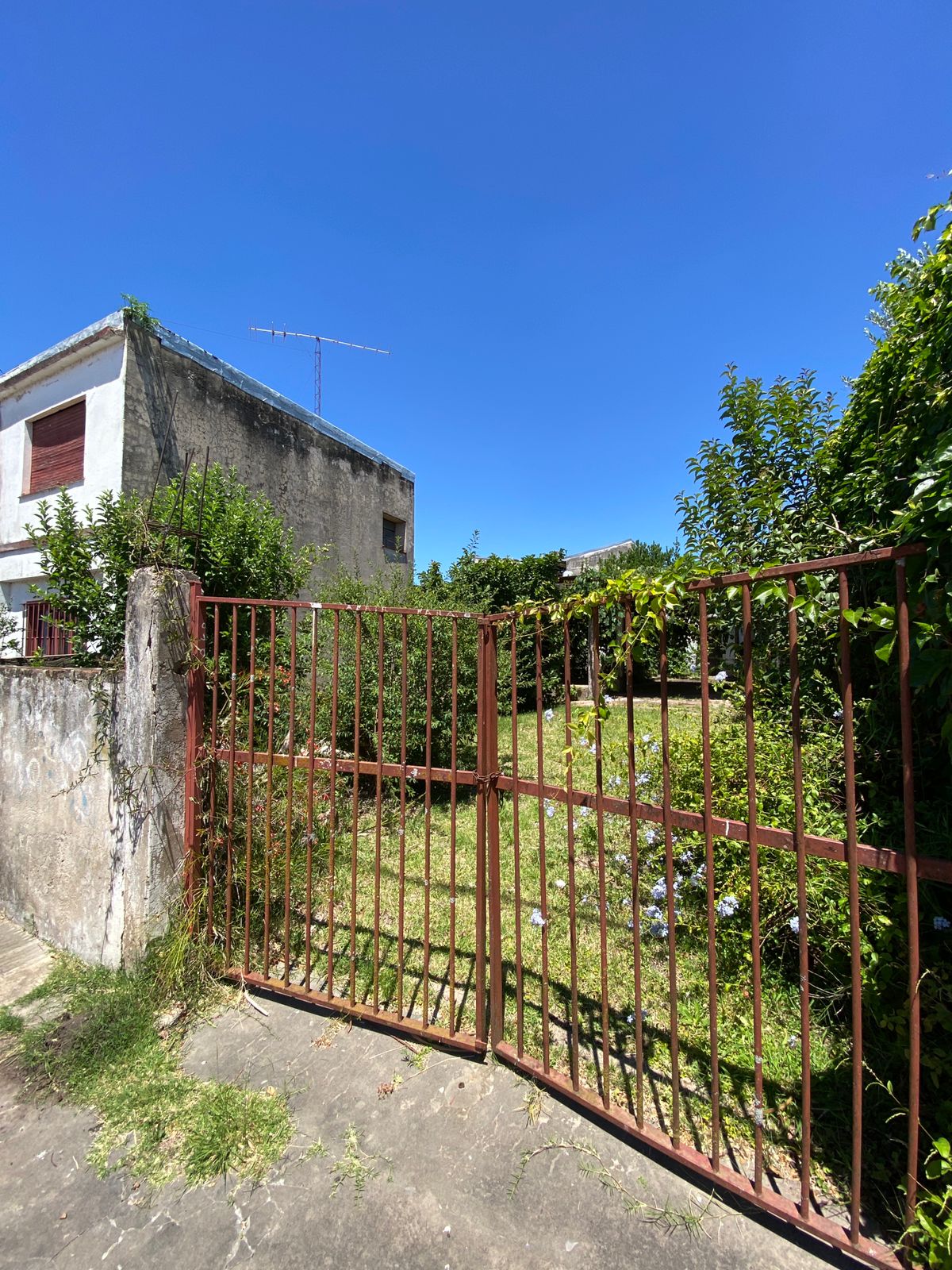 WhatsApp Image 2025-12-03 at 16.10.47