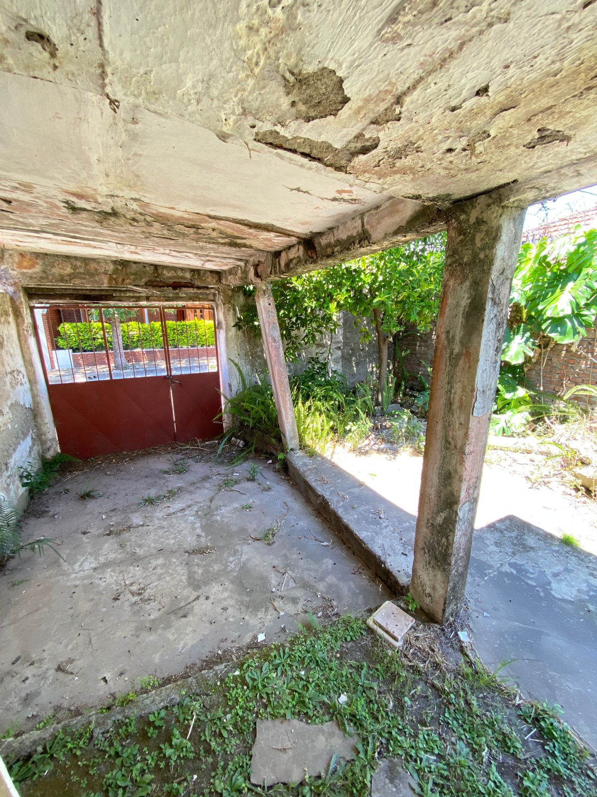 WhatsApp Image 2025-12-03 at 16.10.49 (1)