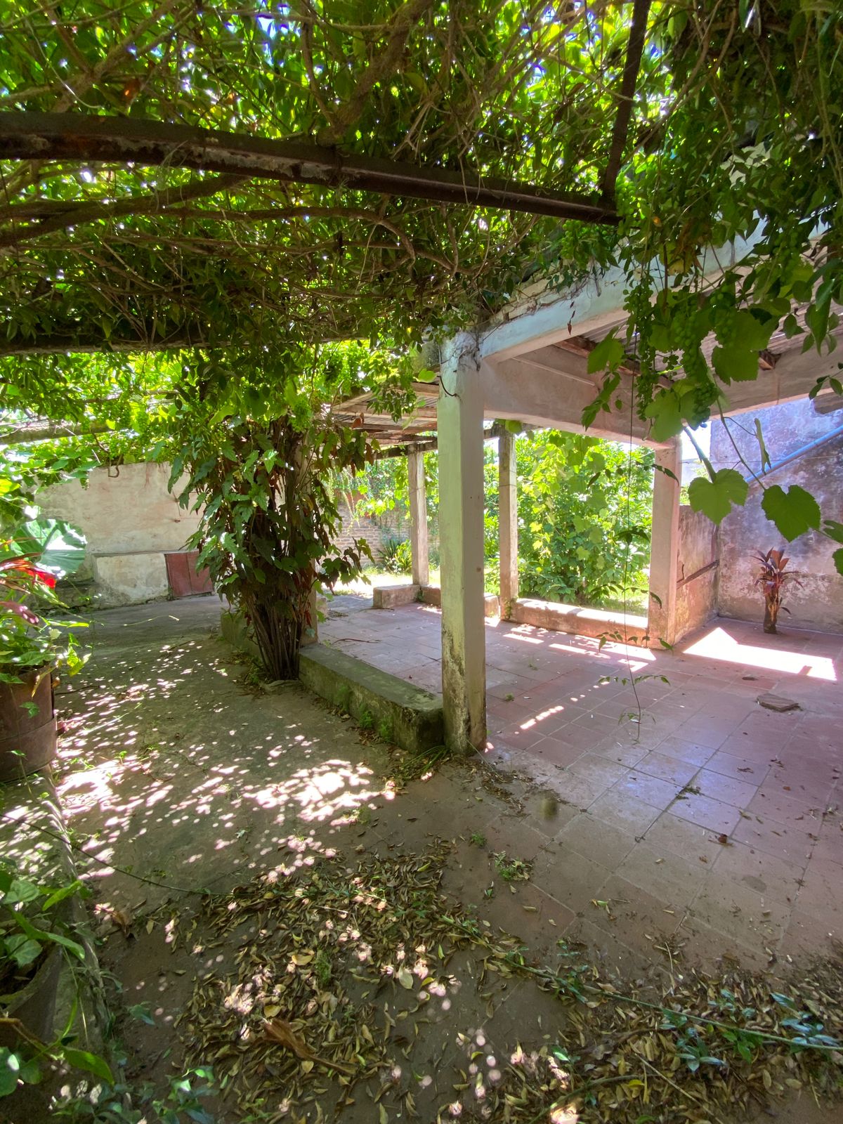 WhatsApp Image 2025-12-03 at 16.10.49 (4)