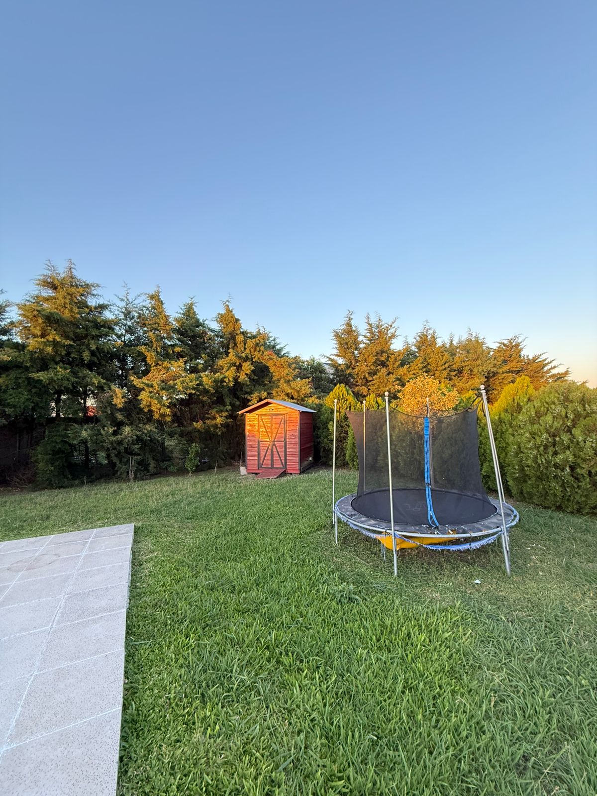 WhatsApp Image 2025-12-04 at 20.33.11