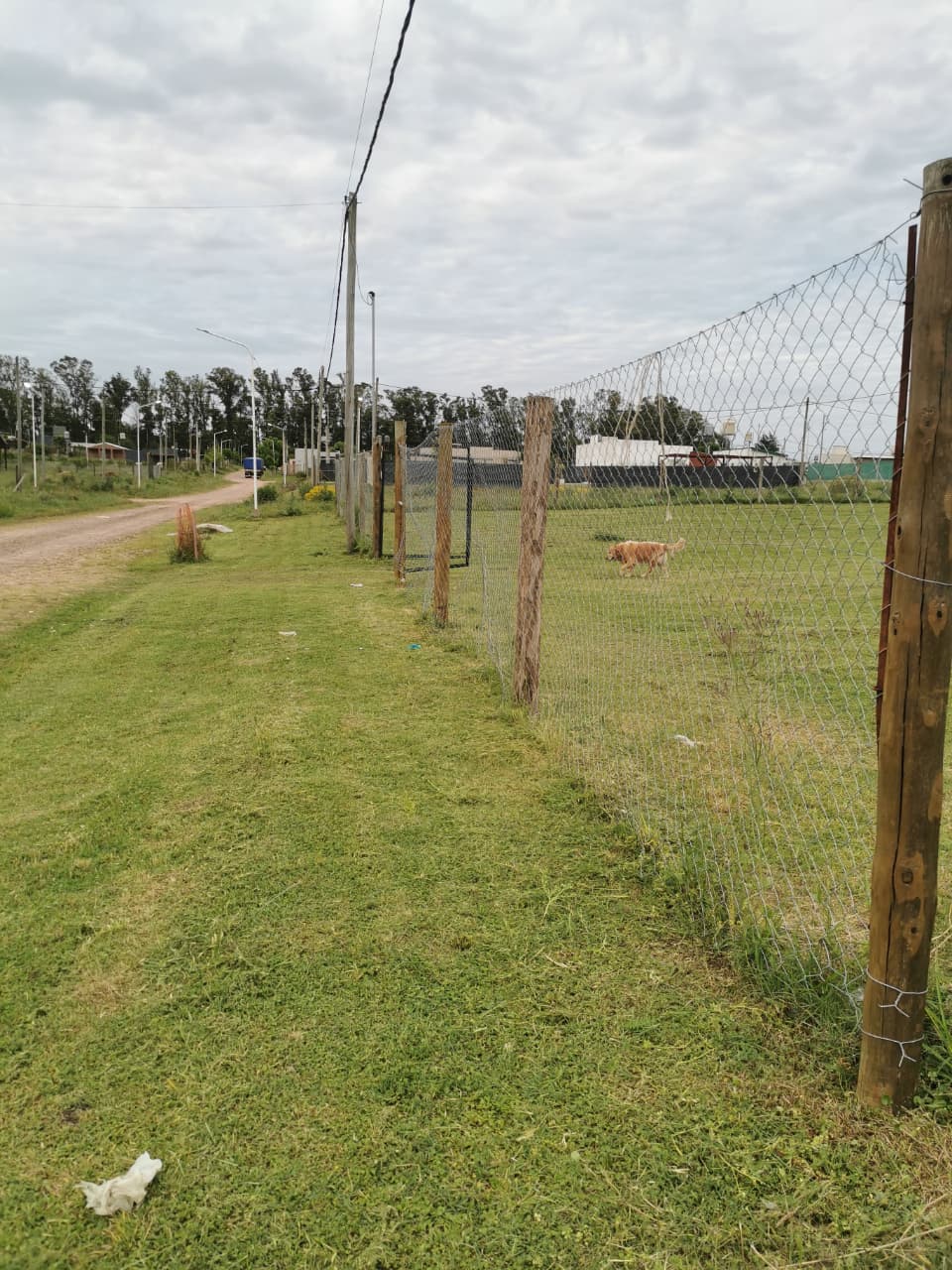 WhatsApp Image 2025-12-10 at 10.36.36 (2)