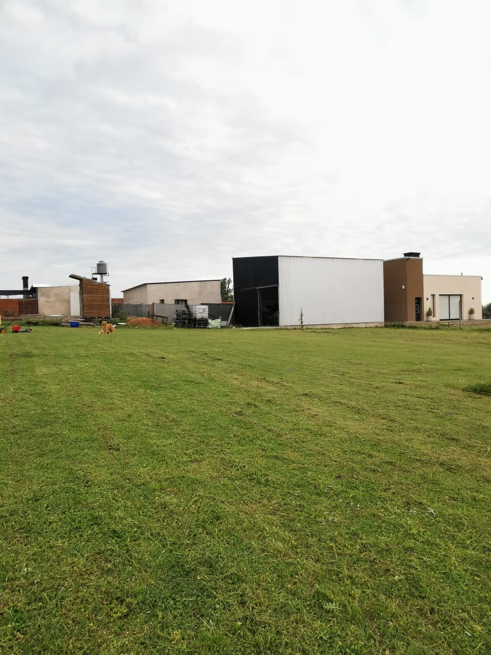 WhatsApp Image 2025-12-10 at 10.36.39