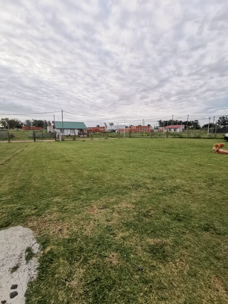 WhatsApp Image 2025-12-10 at 10.36.42 (2)