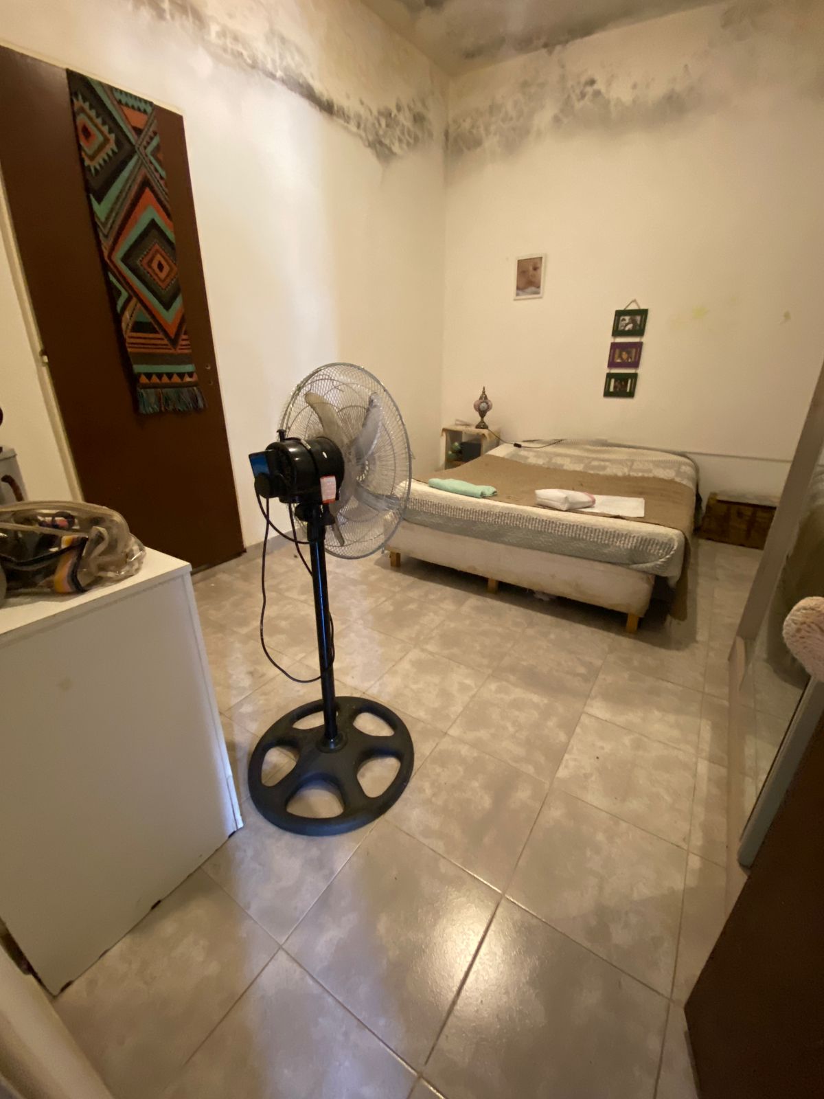 WhatsApp Image 2025-12-10 at 15.20.55