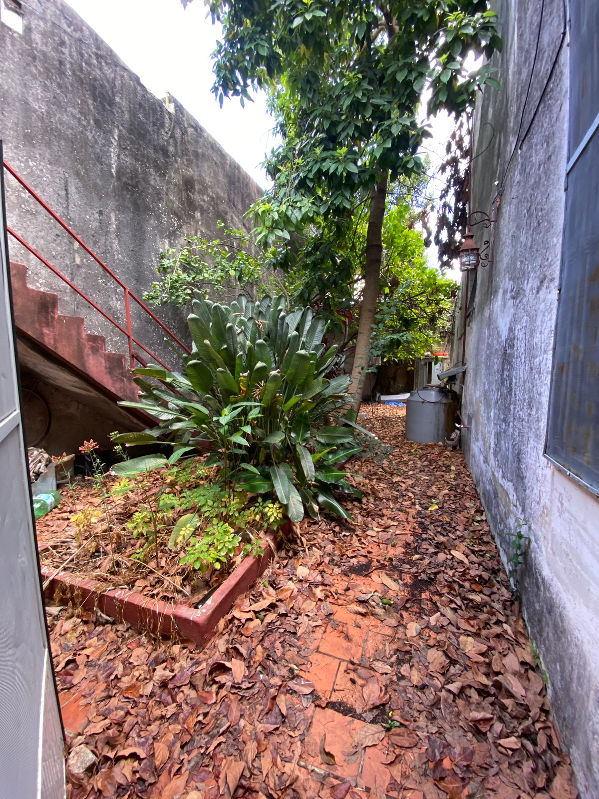 WhatsApp Image 2025-12-10 at 16.26.42