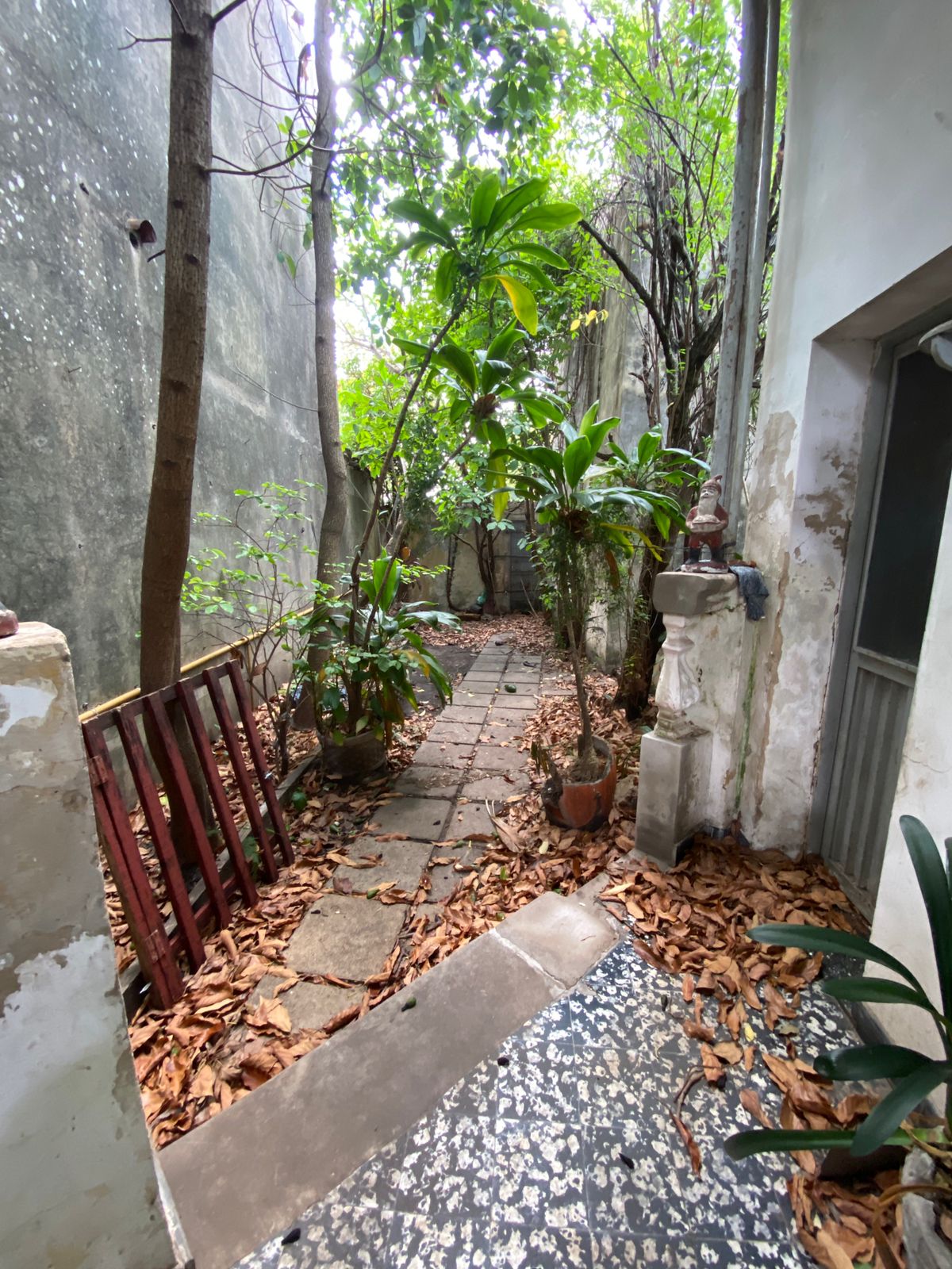 WhatsApp Image 2025-12-10 at 16.26.44