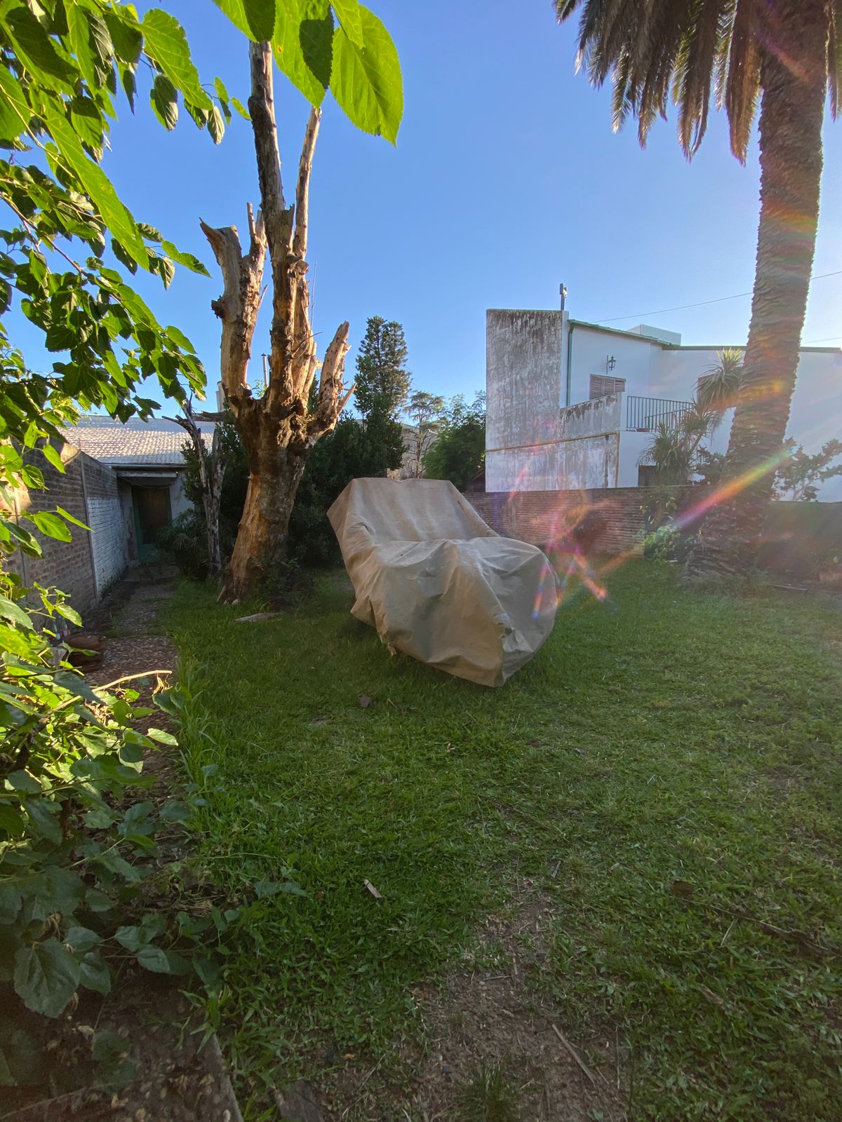 WhatsApp Image 2025-12-15 at 08.40.18 (2)