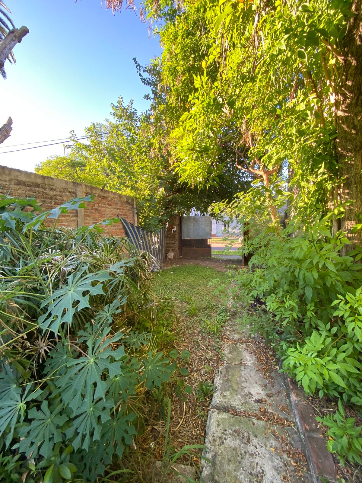 WhatsApp Image 2025-12-15 at 08.40.31 (1)