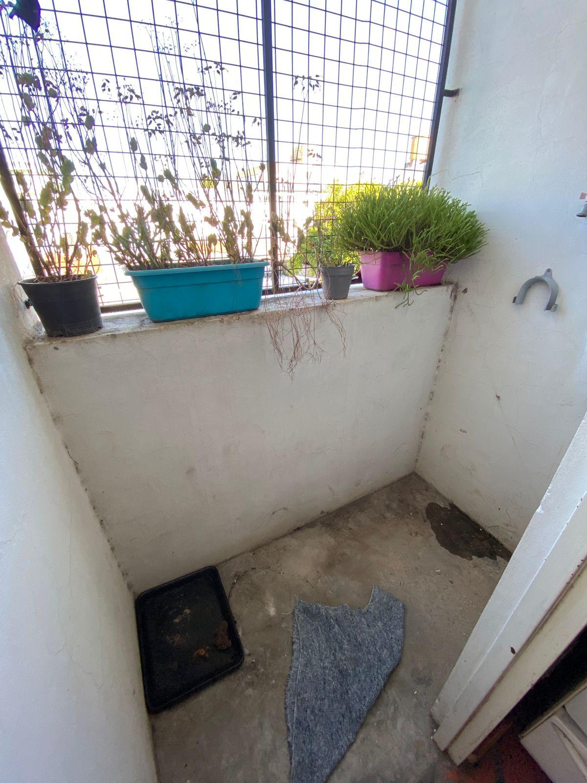 1e2b1514-3ded-43a9-abdd-c4171c762afa