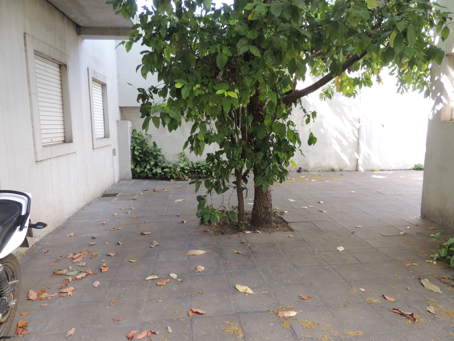 cdeb699b-c20c-4440-ad46-62d8554ddf23