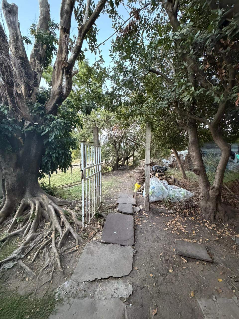 54175b32-4202-4689-a5e6-c72c62e0f38b