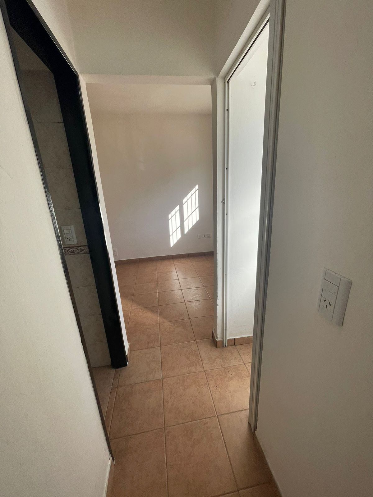 8ed1533d-7ff8-4de5-a782-ad7caa989ae3