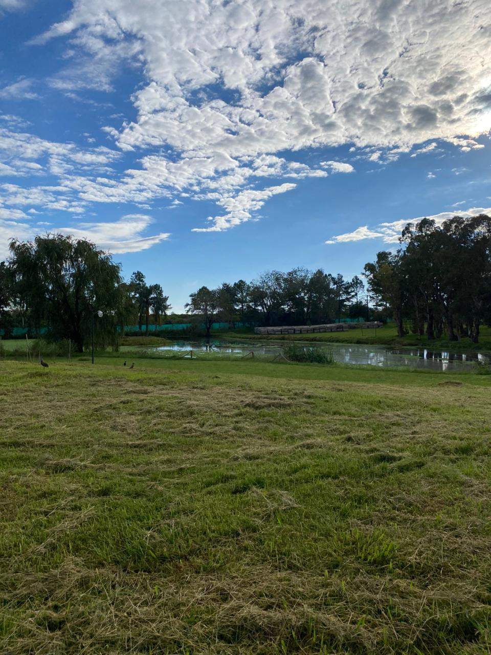 64309882-4e04-4efe-9a35-f164a1b4c30e