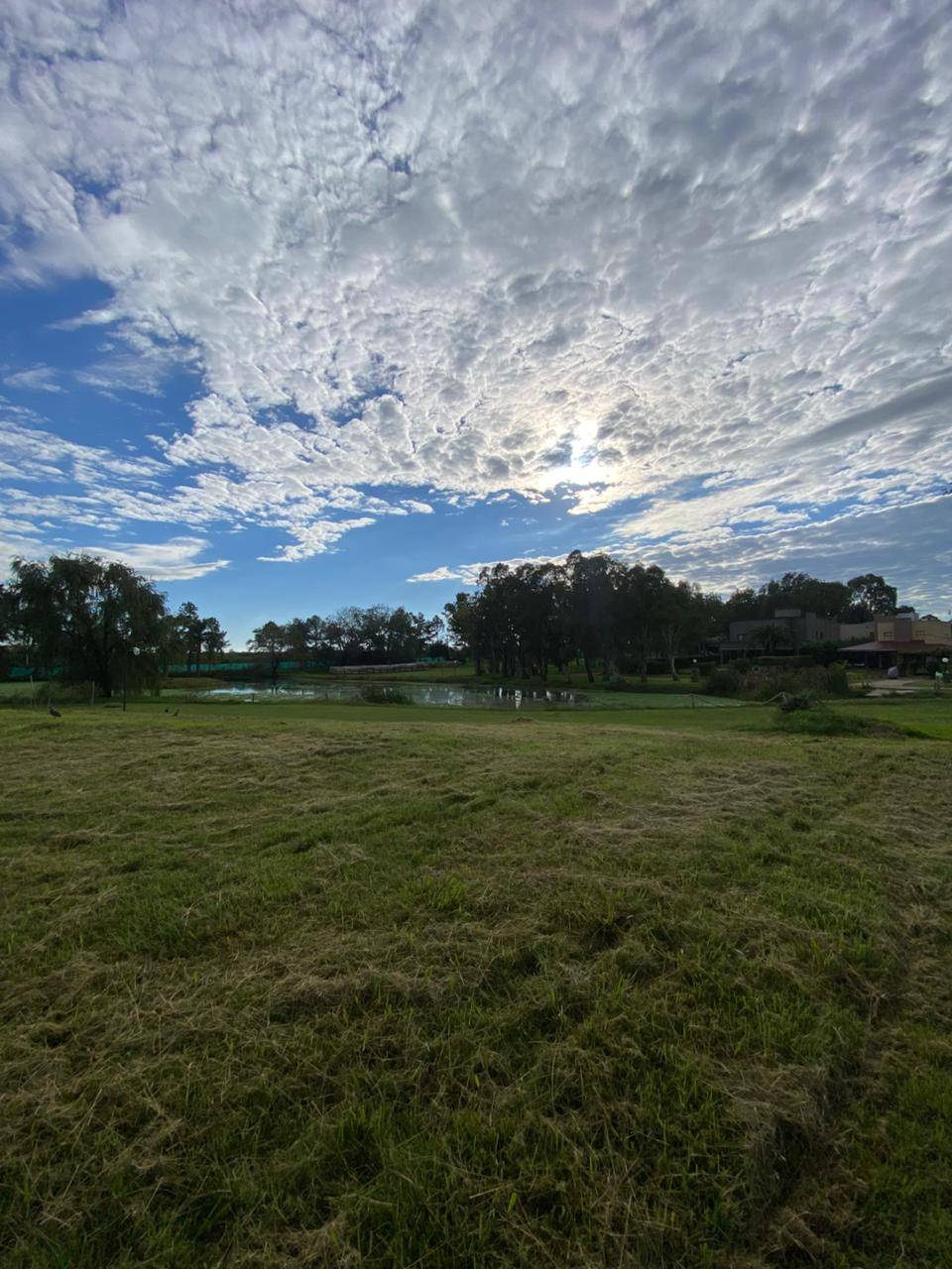 780ae6bc-feac-4c9a-b063-58cbfe01853b