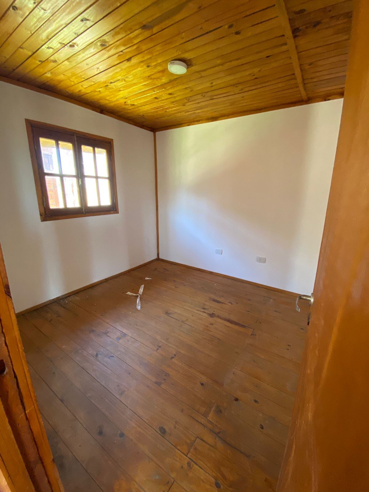 81d86da3-fe59-4e43-ab88-536aa5170c4b