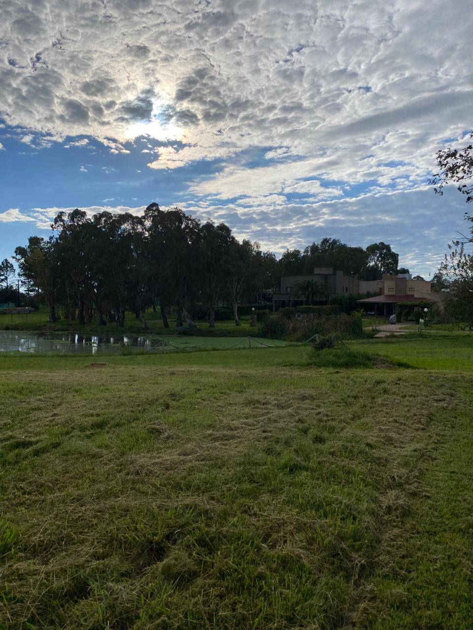 8e1833b3-1a42-4a86-9608-d696382b72e3