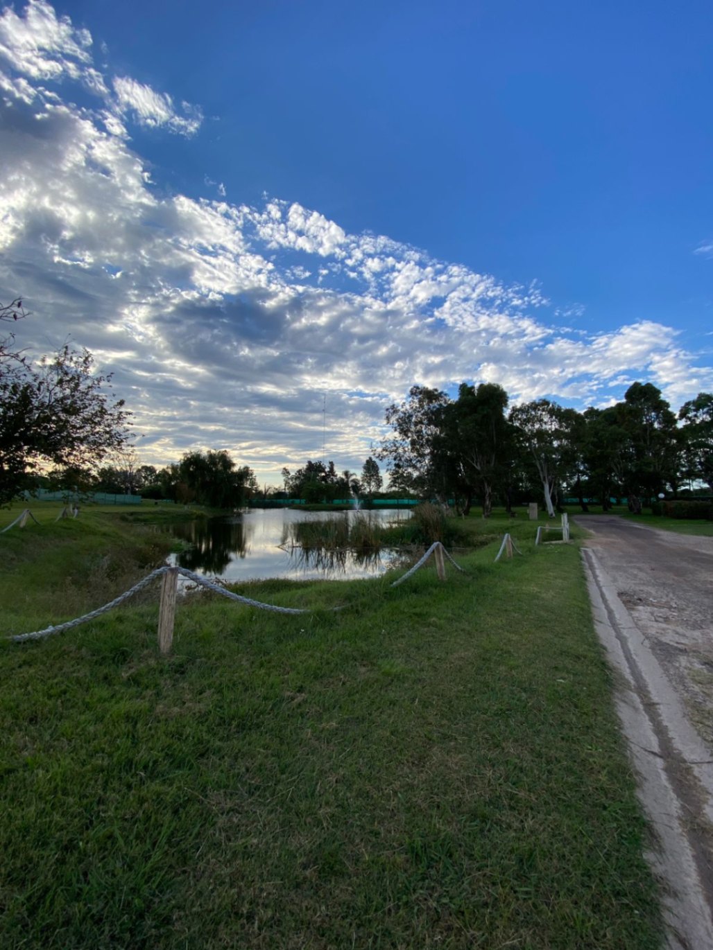 a936bb8d-d9bb-4b82-a5b6-3518205ad4ad