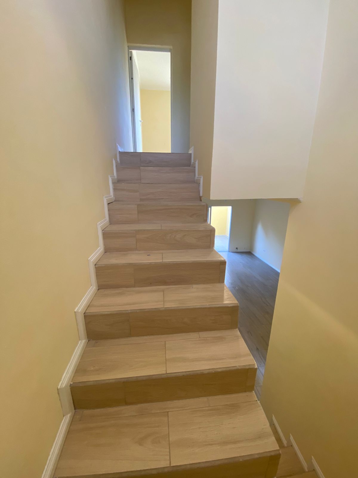 b9002e90-3776-4354-b9f5-6939aa795804