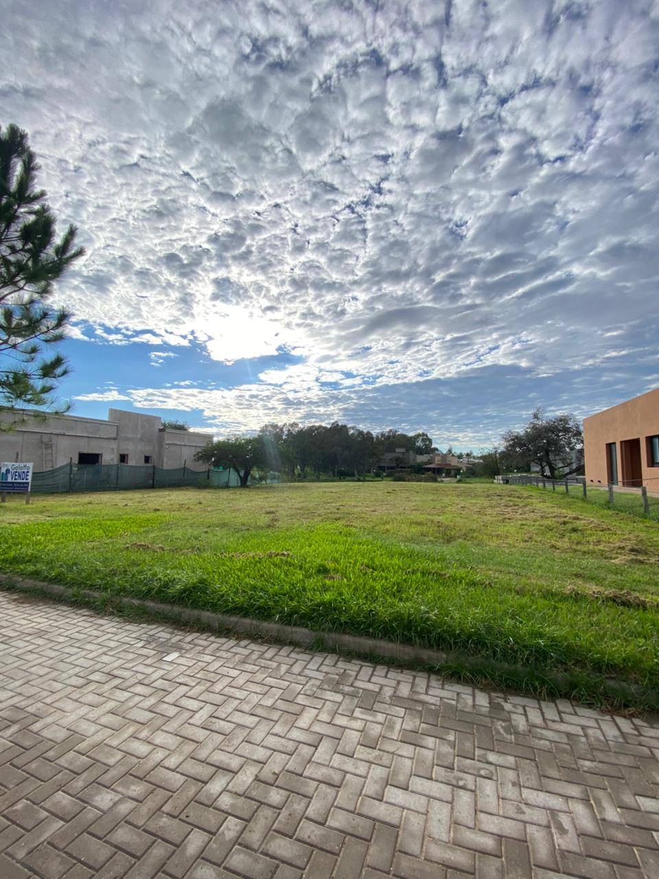 d720bc46-0e2a-4cd2-a10c-ff84b585d6ed